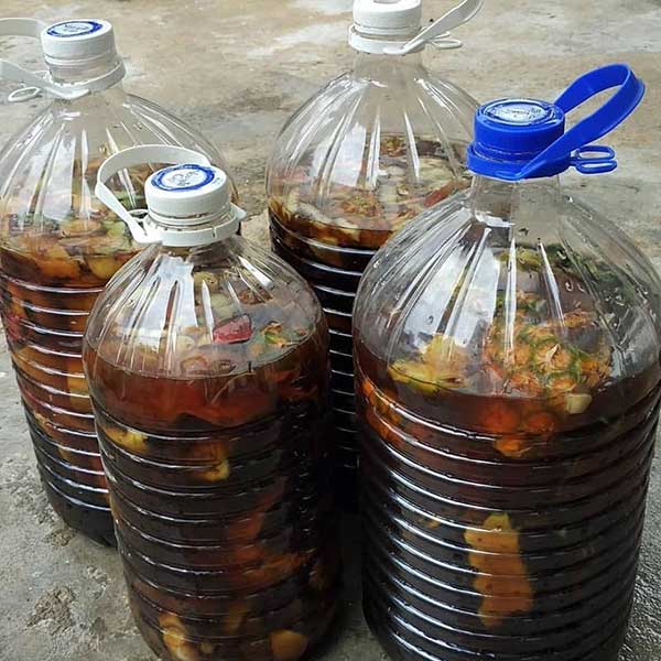 cach-lam-garbage-enzyme-cua-tien-si-nguoi-Thai-Dhoney